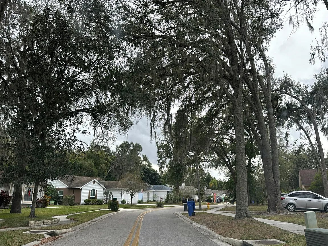 18131 Swan Lake Drive,Lutz,FL,United States preview