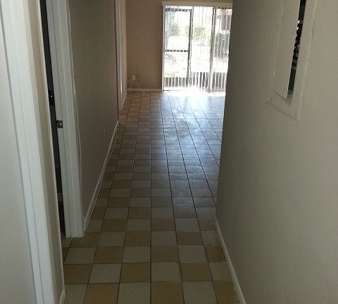 7535 Pitch Pine Circle,Tampa,FL,United States preview