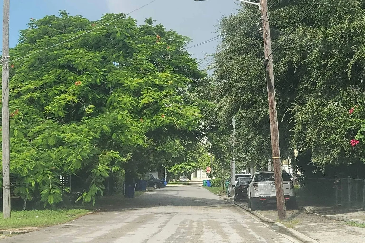 3820 Oak Avenue,Miami,FL,United States preview