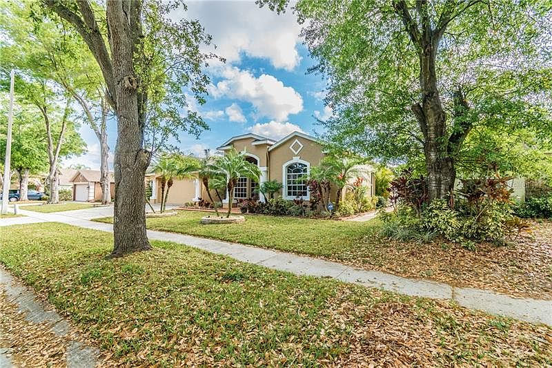 319 Country Vineyard Dr,Valrico,FL,United States preview
