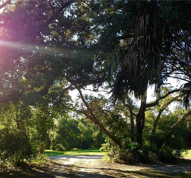 316 Raccoon Street,Lake Mary,FL,United States preview