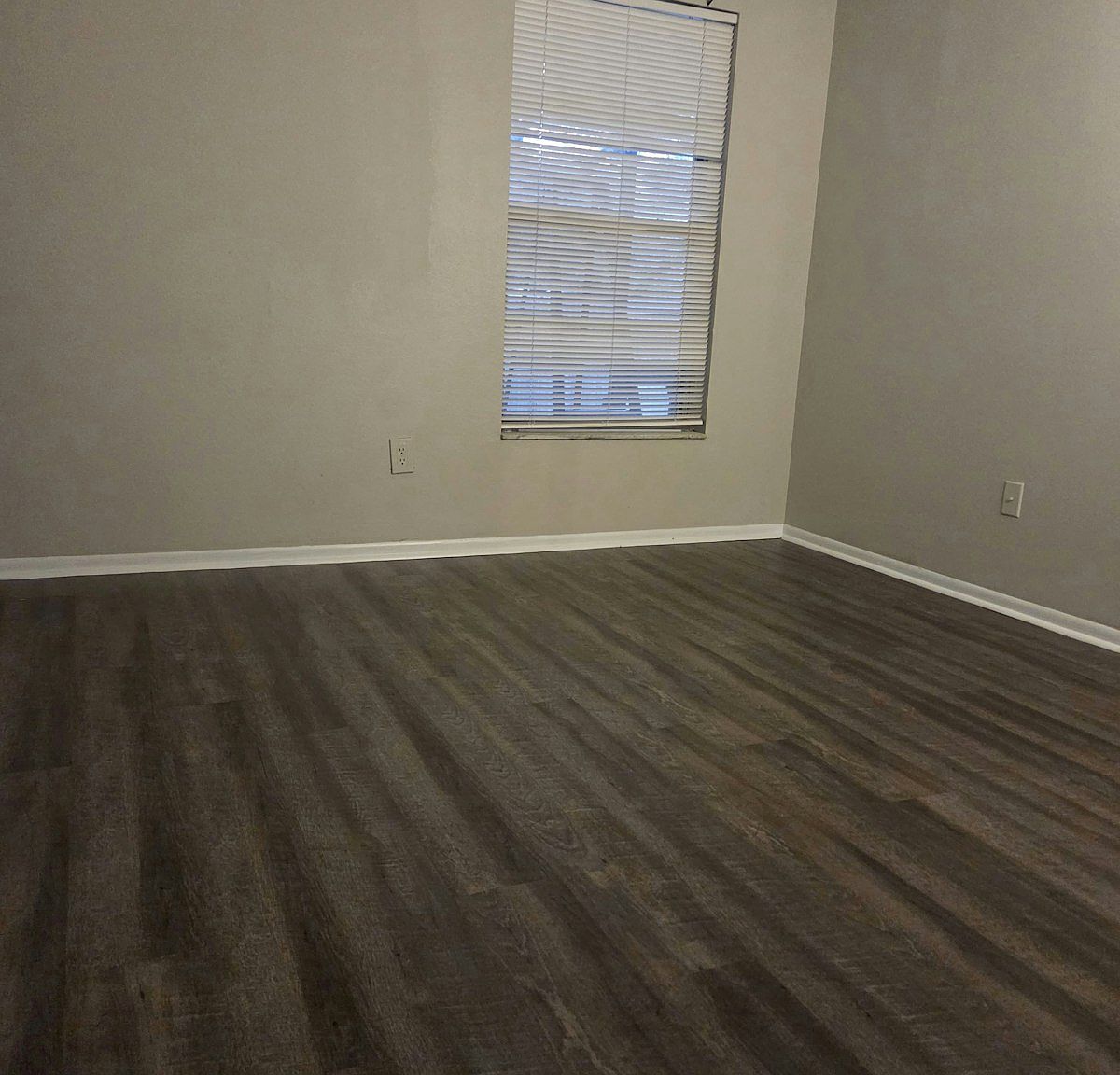 4031 Tumble Wood Trail,Tampa,FL,United States preview