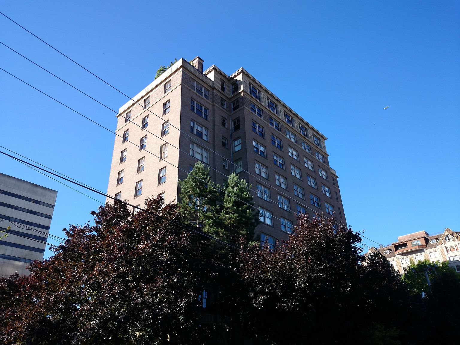 1223 Spring Street,Seattle,WA,United States preview