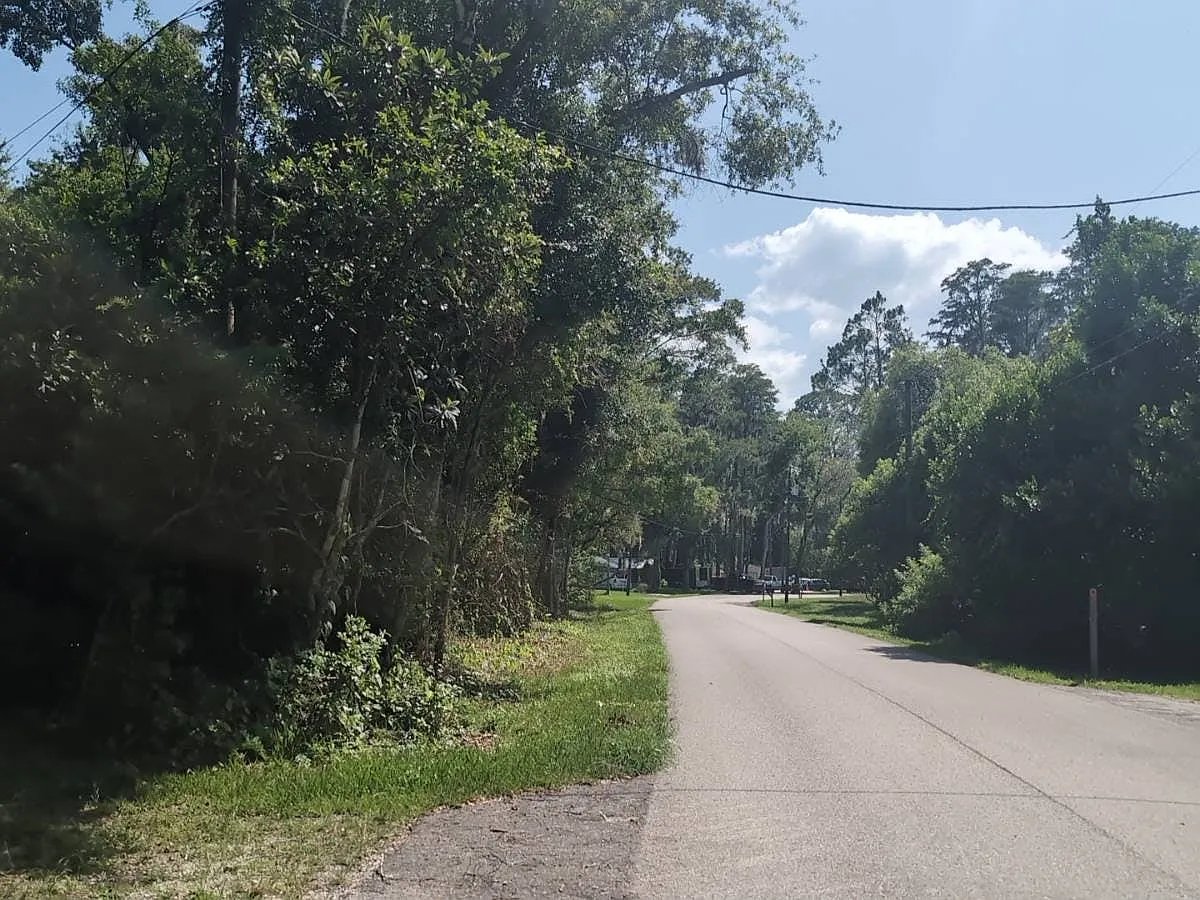 22048 Dupree Drive,Land O' Lakes,FL,United States preview
