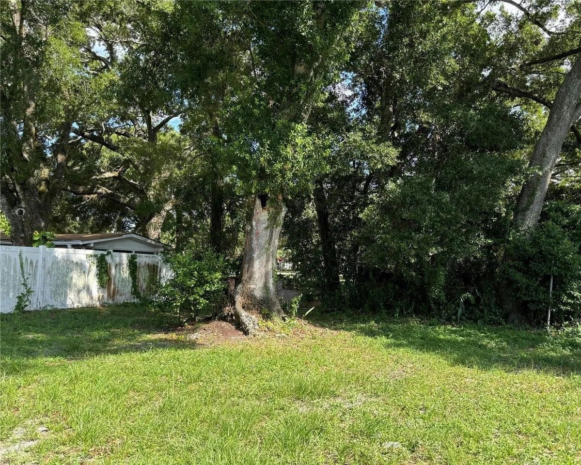 1911 E Genesee St,Tampa,FL,United States preview