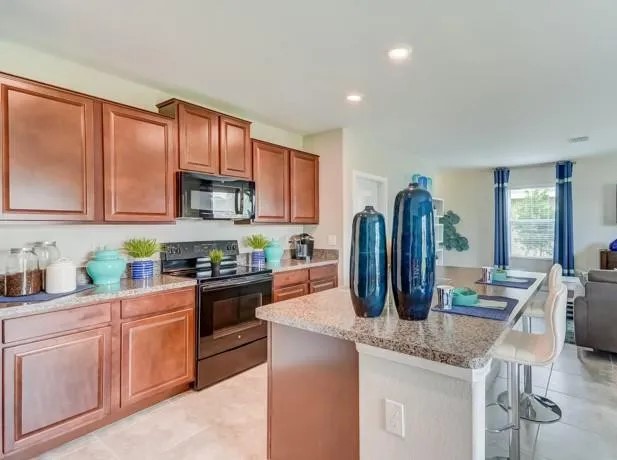 5111 White Chicory Drive,Ruskin,FL,United States preview