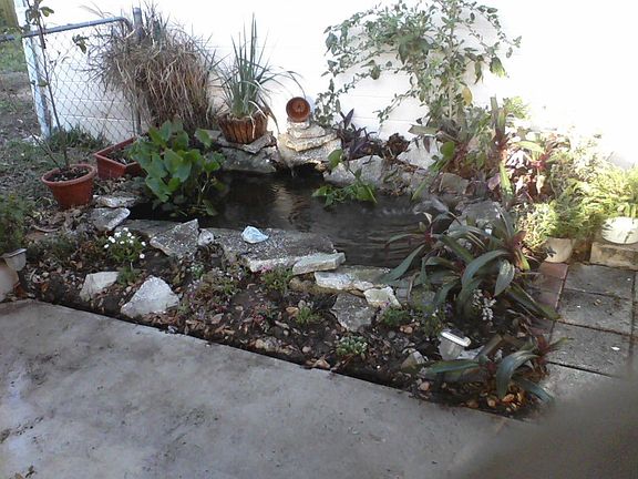 1332 Moore Street,Daytona Beach,FL,United States preview