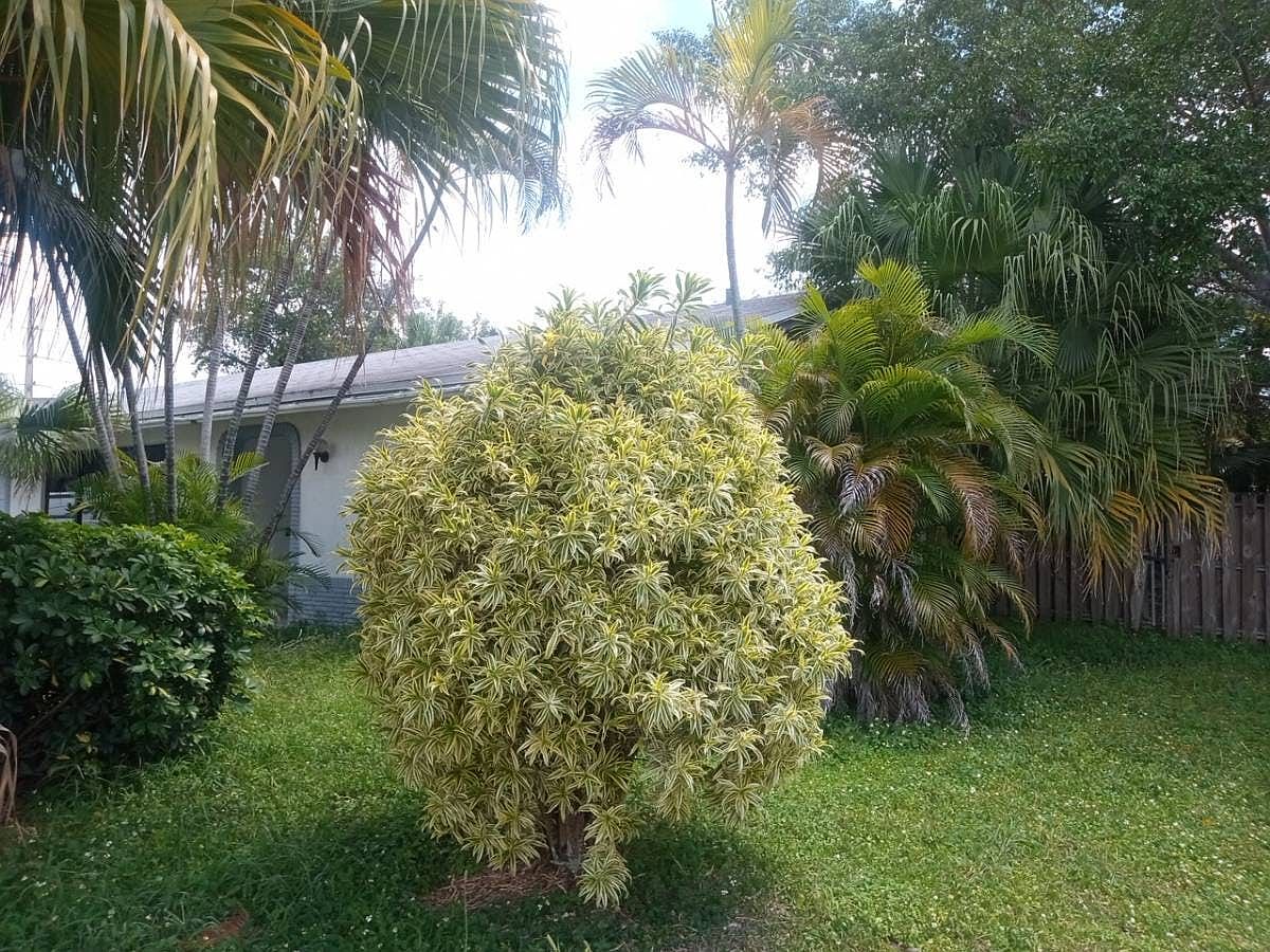 4302 Northwest 96th Terrace,Sunrise,FL,United States preview