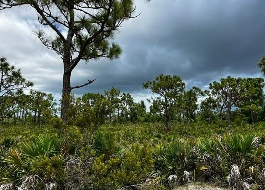 12528 Canoe Trail,Bokeelia,FL,United States preview