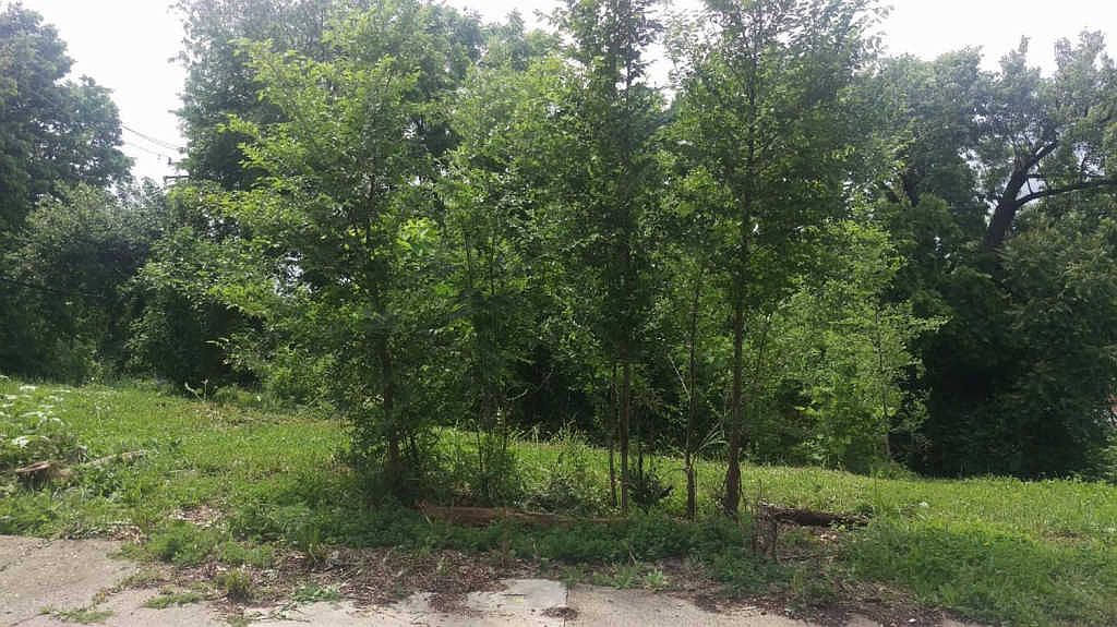 2549 West McMicken Avenue,Cincinnati,OH,United States preview