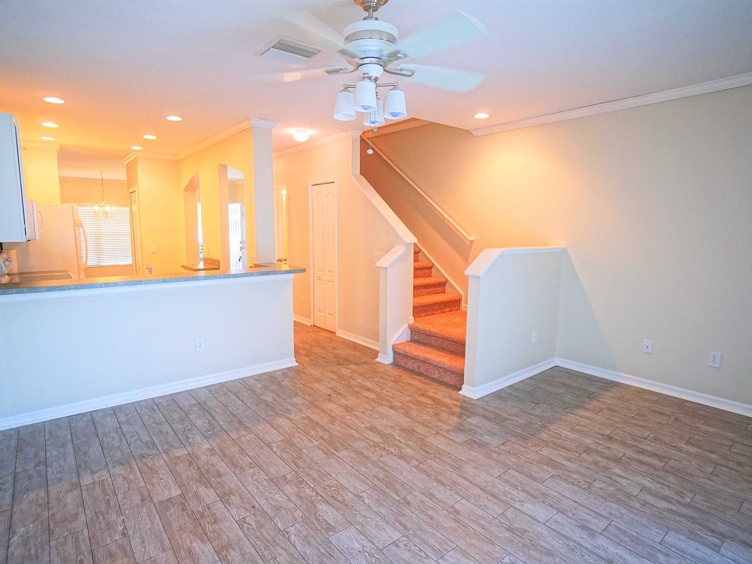 12316 Healey Summit Lane,Riverview,FL,United States preview