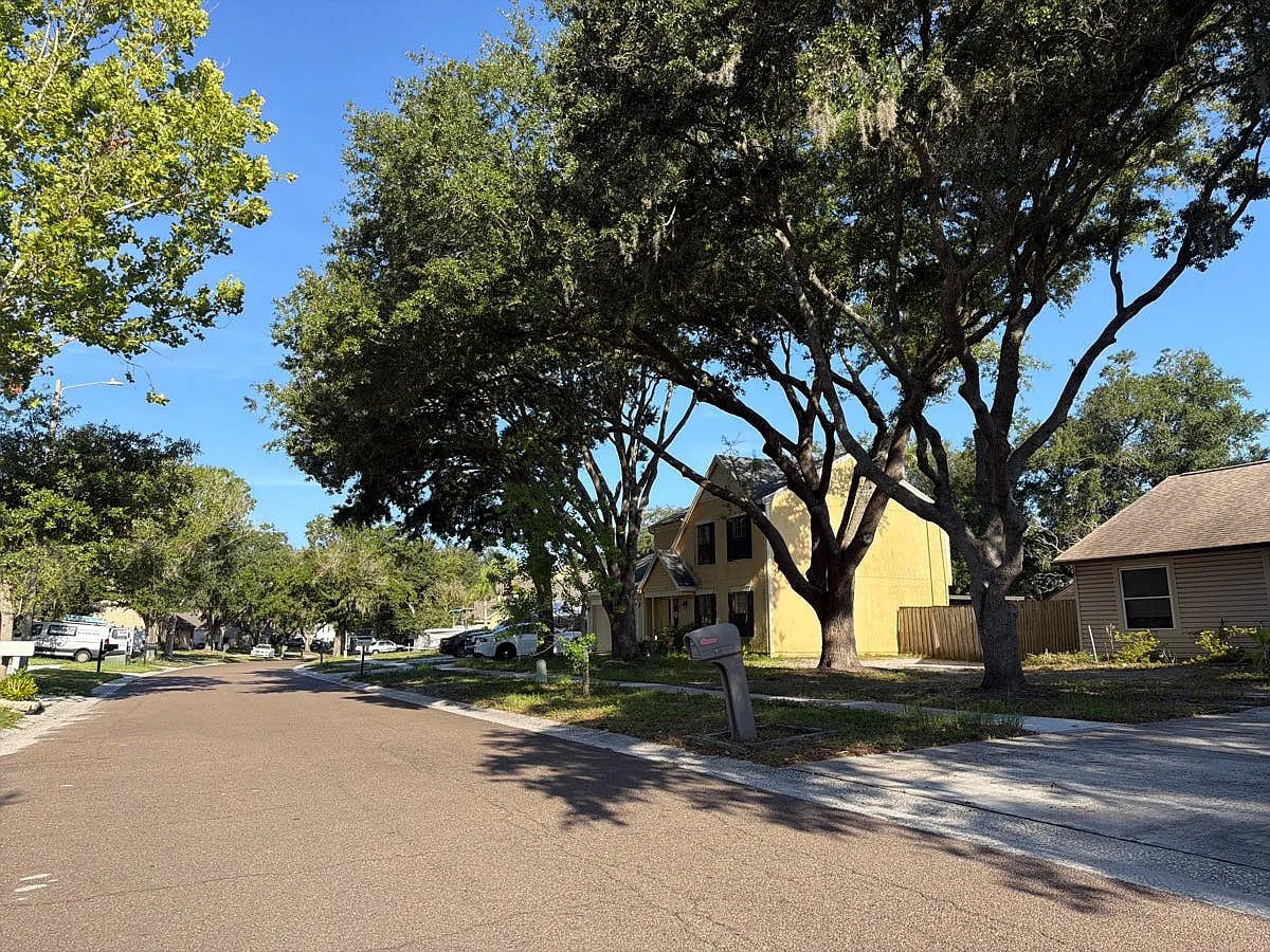 514 Sweetleaf Drive,Brandon,FL,United States preview