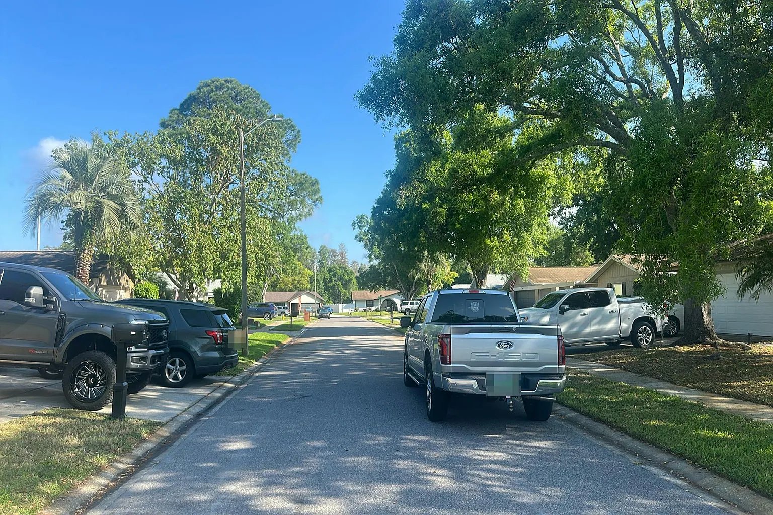 3582 Fairway Forest Drive,Palm Harbor,FL,United States preview