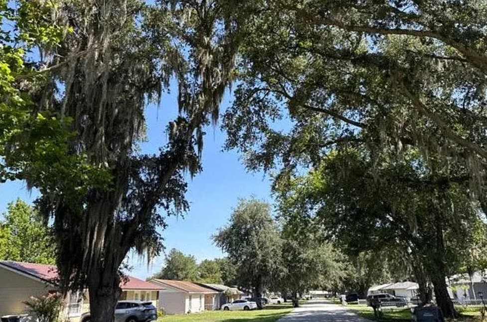 9030 Damascus Avenue,Polk City,FL,United States preview