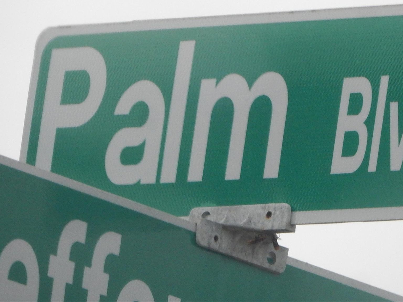 813 Palm Boulevard,Dunedin,FL,United States preview