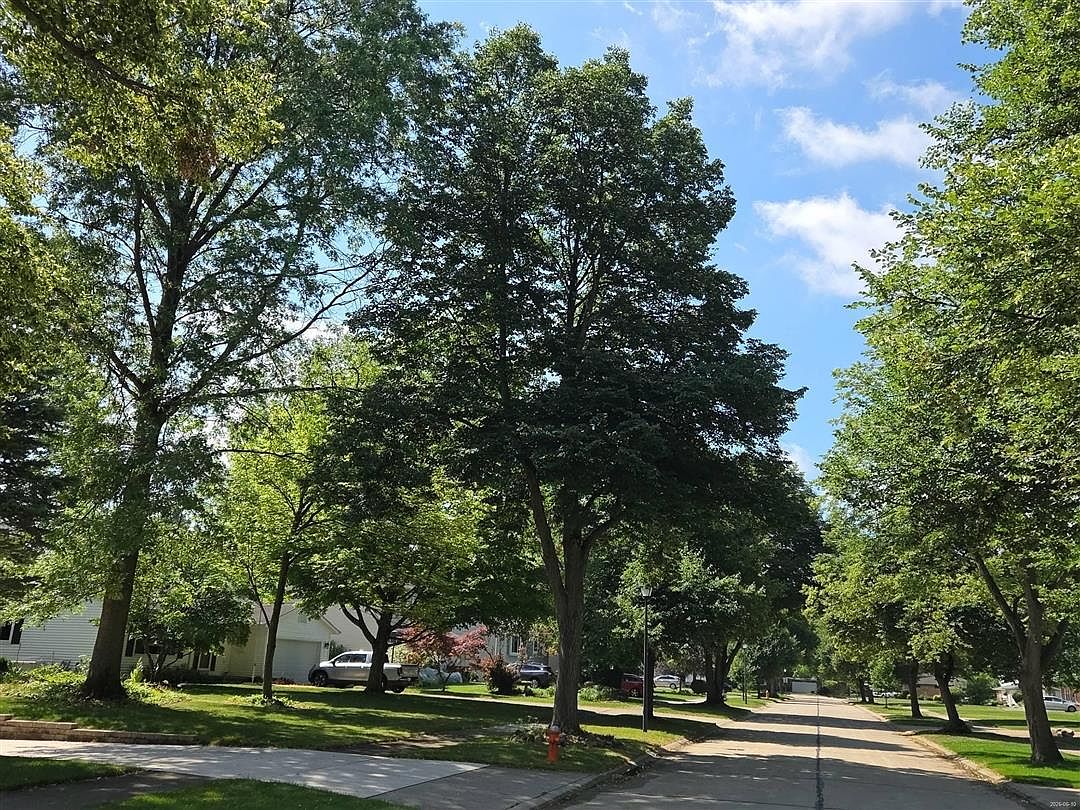 4511 Camellia Lane,North Olmsted,OH,United States preview