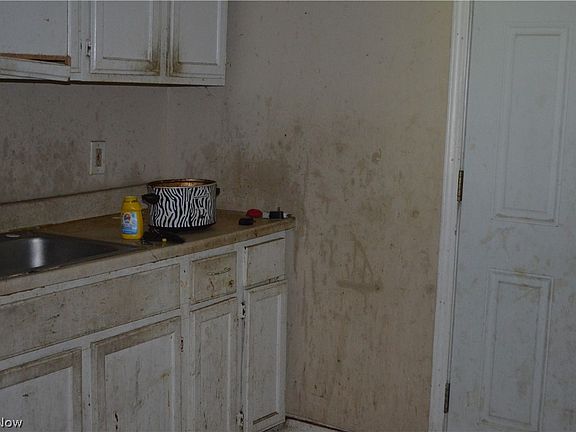 13316 Svec Avenue,Cleveland,OH,USA preview