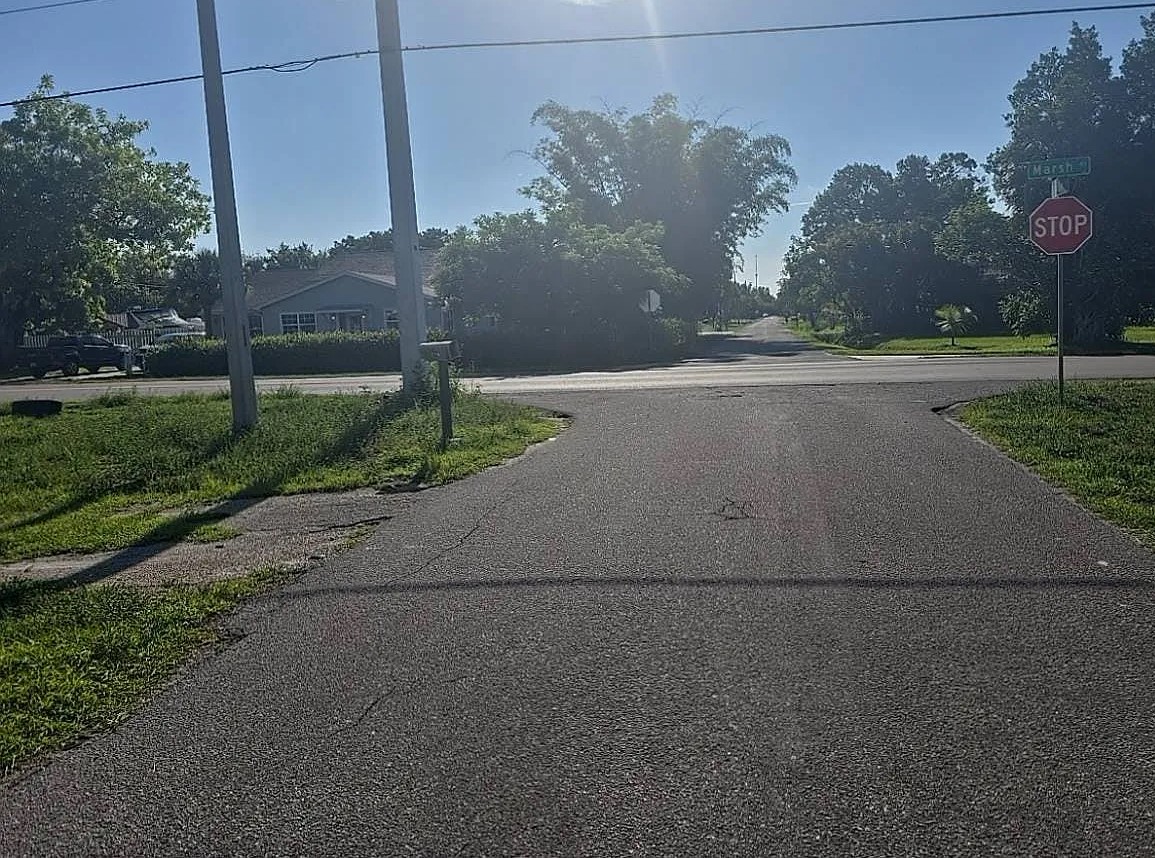 321 Louise Avenue,Fort Myers,FL,United States preview