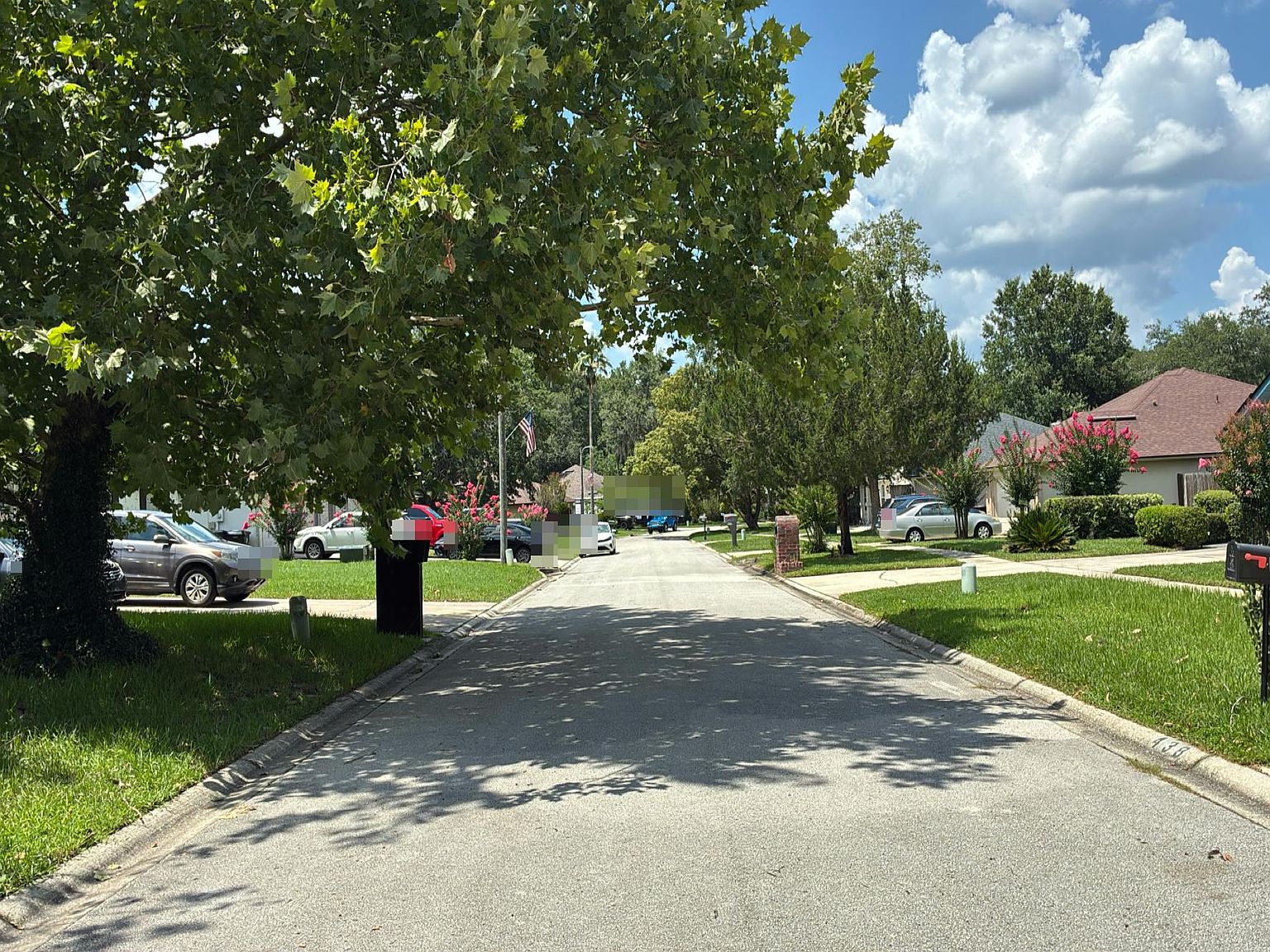 437 Charles Pinckney Street,Orange Park,FL,United States preview