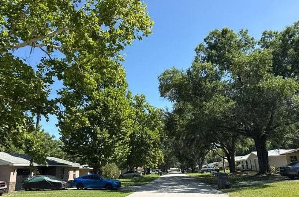 9030 Damascus Avenue,Polk City,FL,United States preview