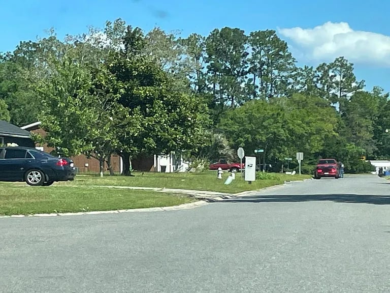 1327 Bay Hill Boulevard,Orange Park,FL,United States preview
