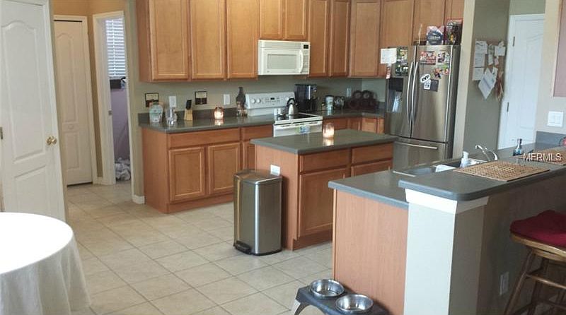 30602 Latourette Drive,Wesley Chapel,Florida,United States preview