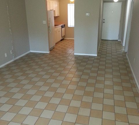 7535 Pitch Pine Circle,Tampa,FL,United States preview