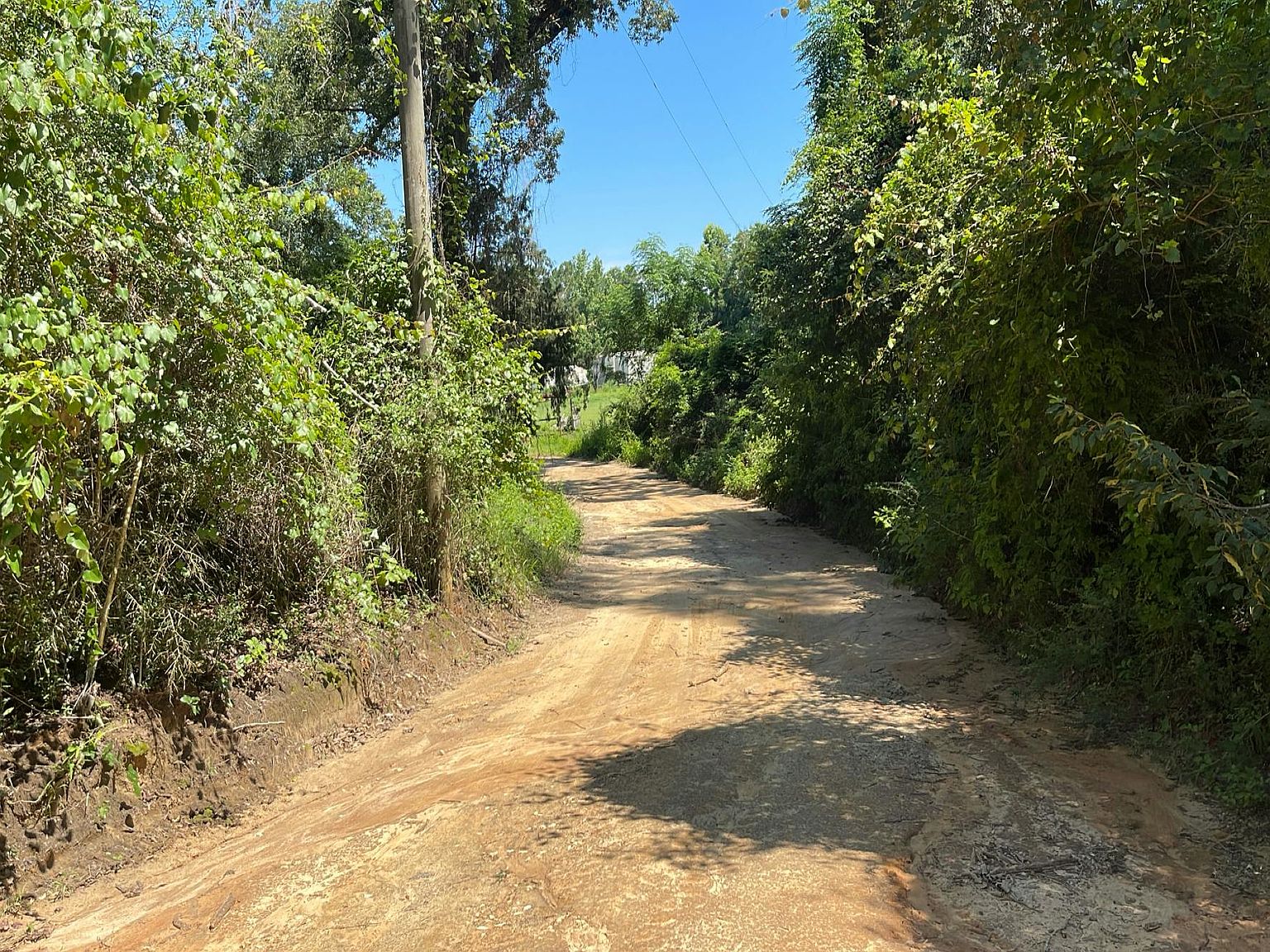 2681 Bruner Dairy Road,Vernon,FL,United States preview