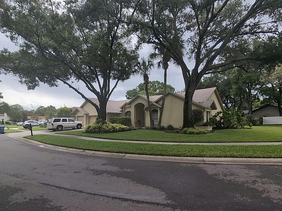 13712 Halliford Dr,Tampa,FL,United States preview