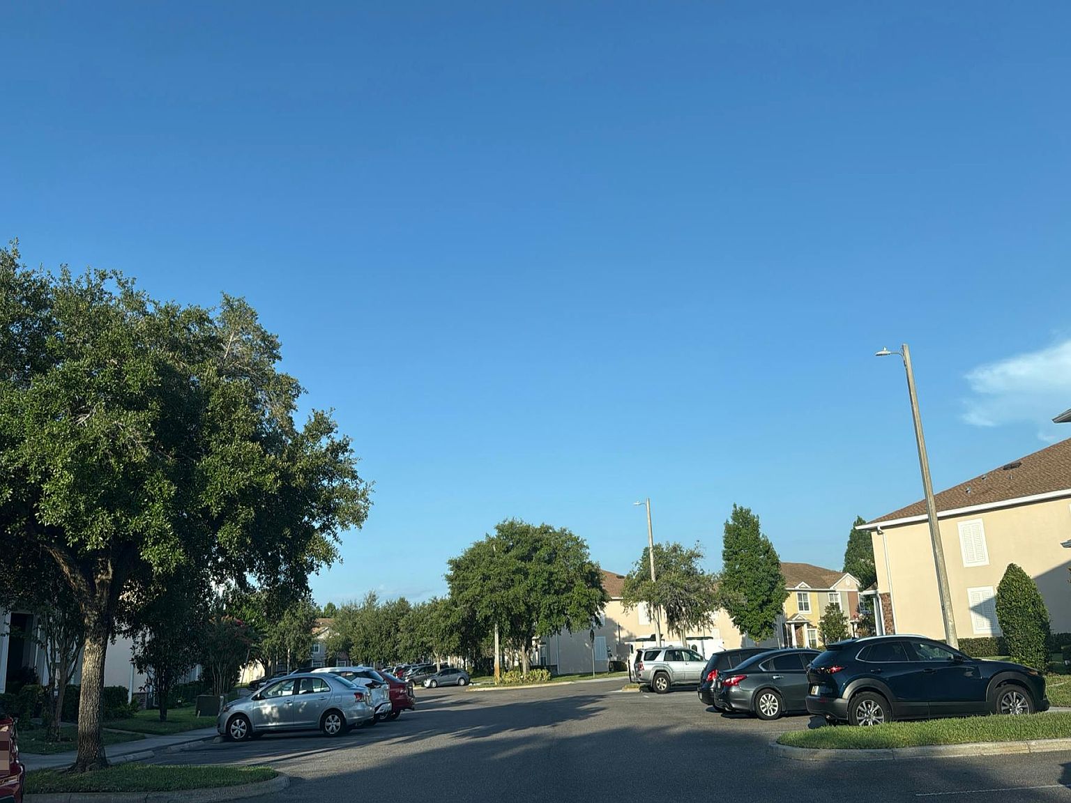 1109 Sleepy Oak Drive,Wesley Chapel,FL,United States preview