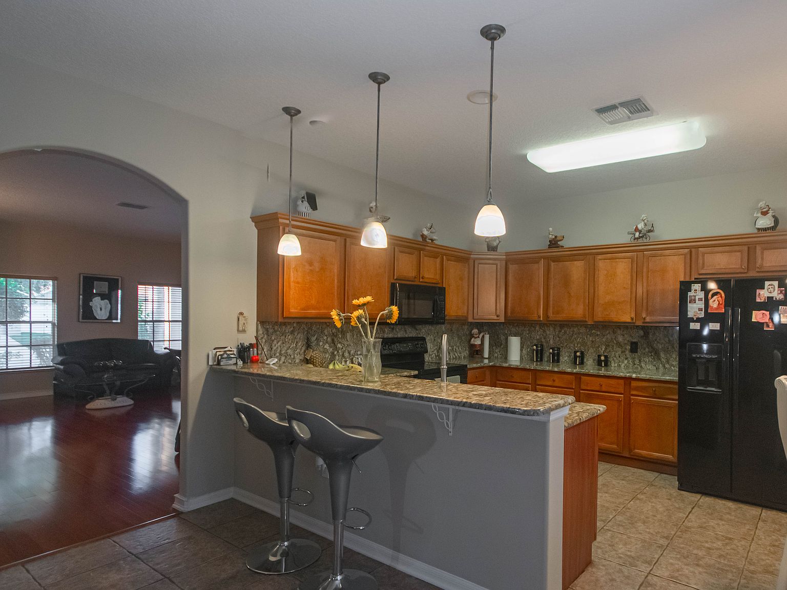 8322 Lake Amhurst Trail,Orlando,FL,United States preview