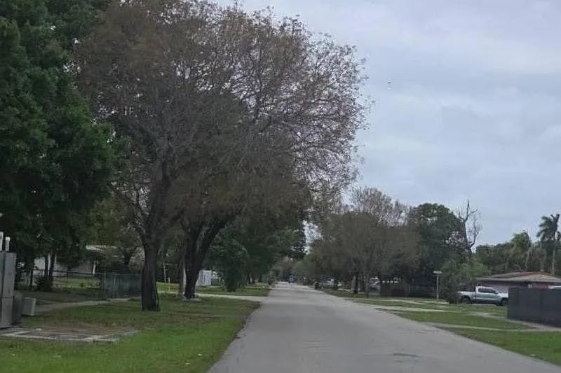 3535 Jackson Boulevard,Fort Lauderdale,FL,United States preview
