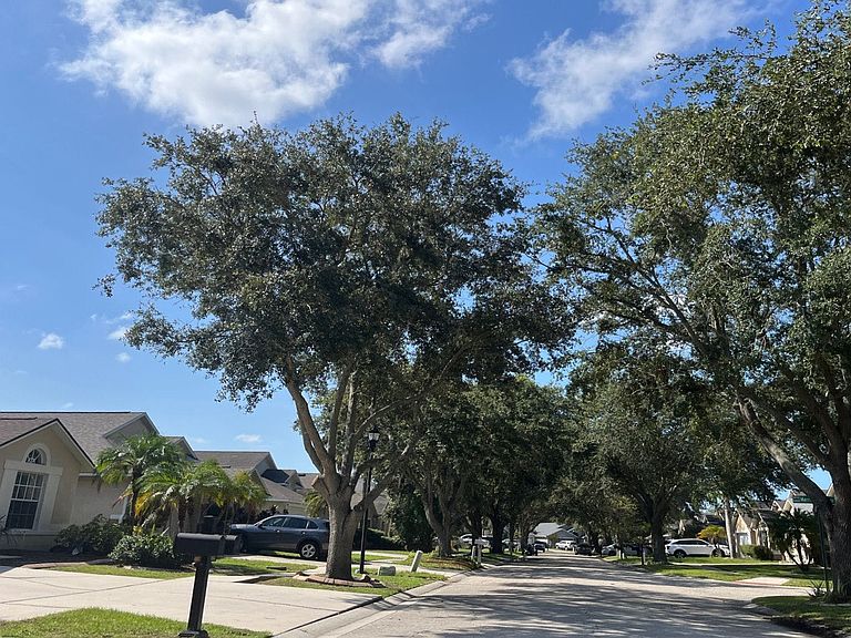 6934 Jamestown Manor Drive,Riverview,FL,United States preview
