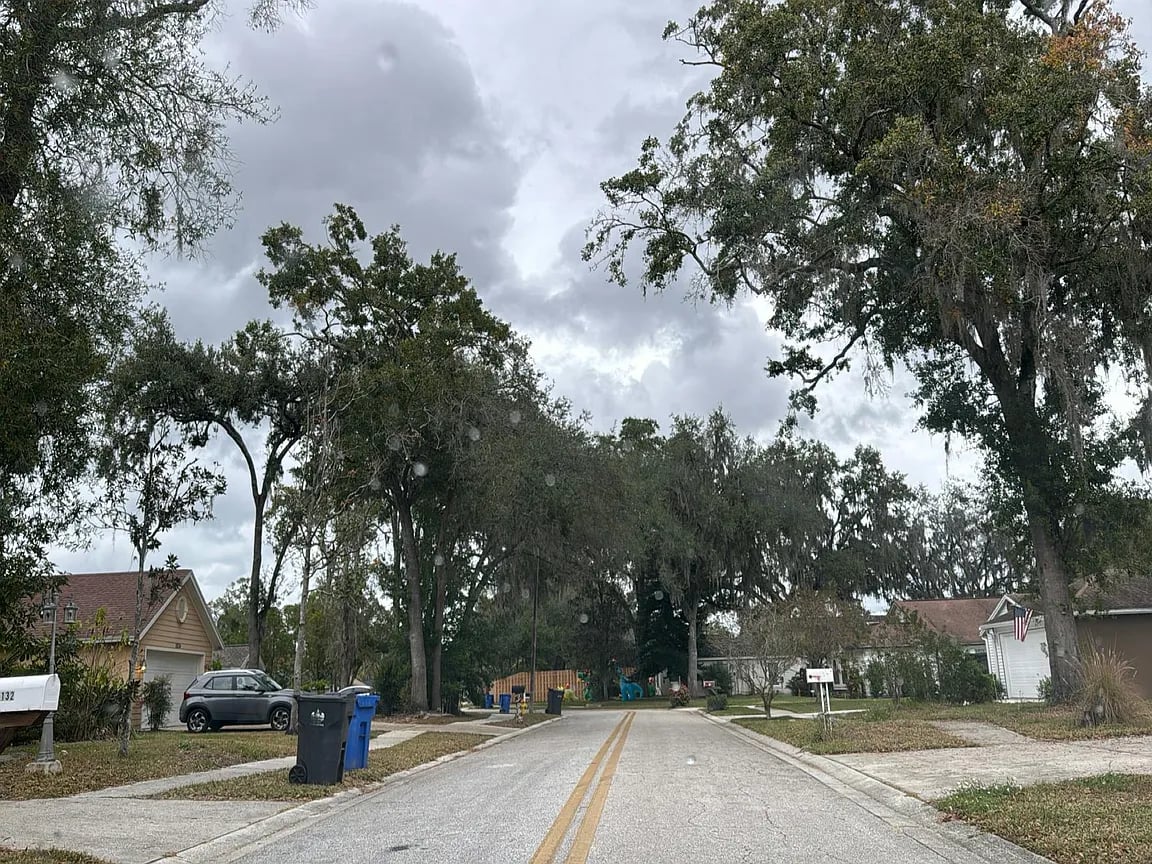 18131 Swan Lake Drive,Lutz,FL,United States preview