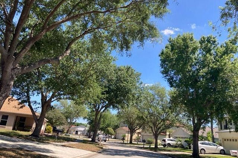 6625 Gates Pointe Way,Riverview,FL,United States preview