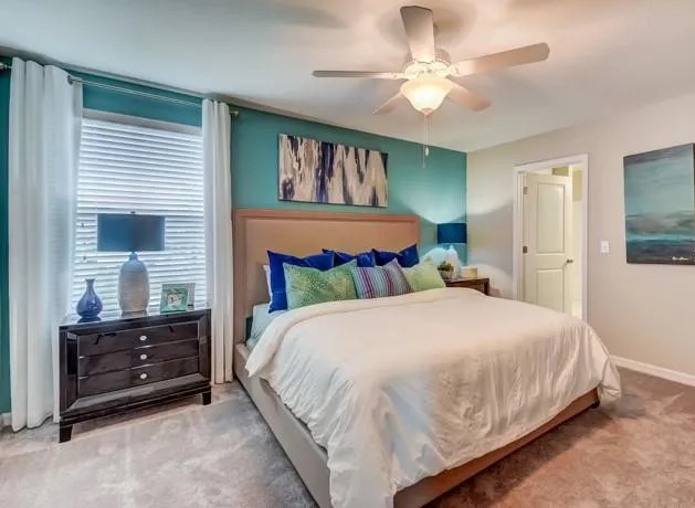 5111 White Chicory Drive,Ruskin,FL,United States preview