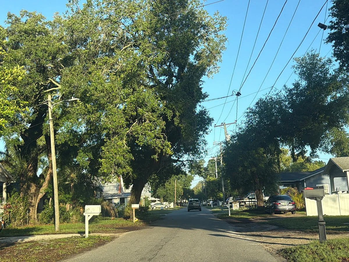 1009 E North Bay St,Tampa,FL,USA preview