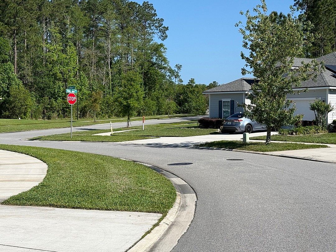 3087 Firethorn Avenue,Orange Park,FL,United States preview