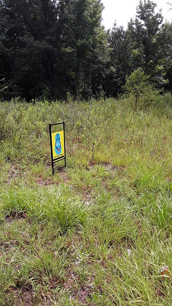 8110 Old Flomaton Road,Century,FL,United States preview