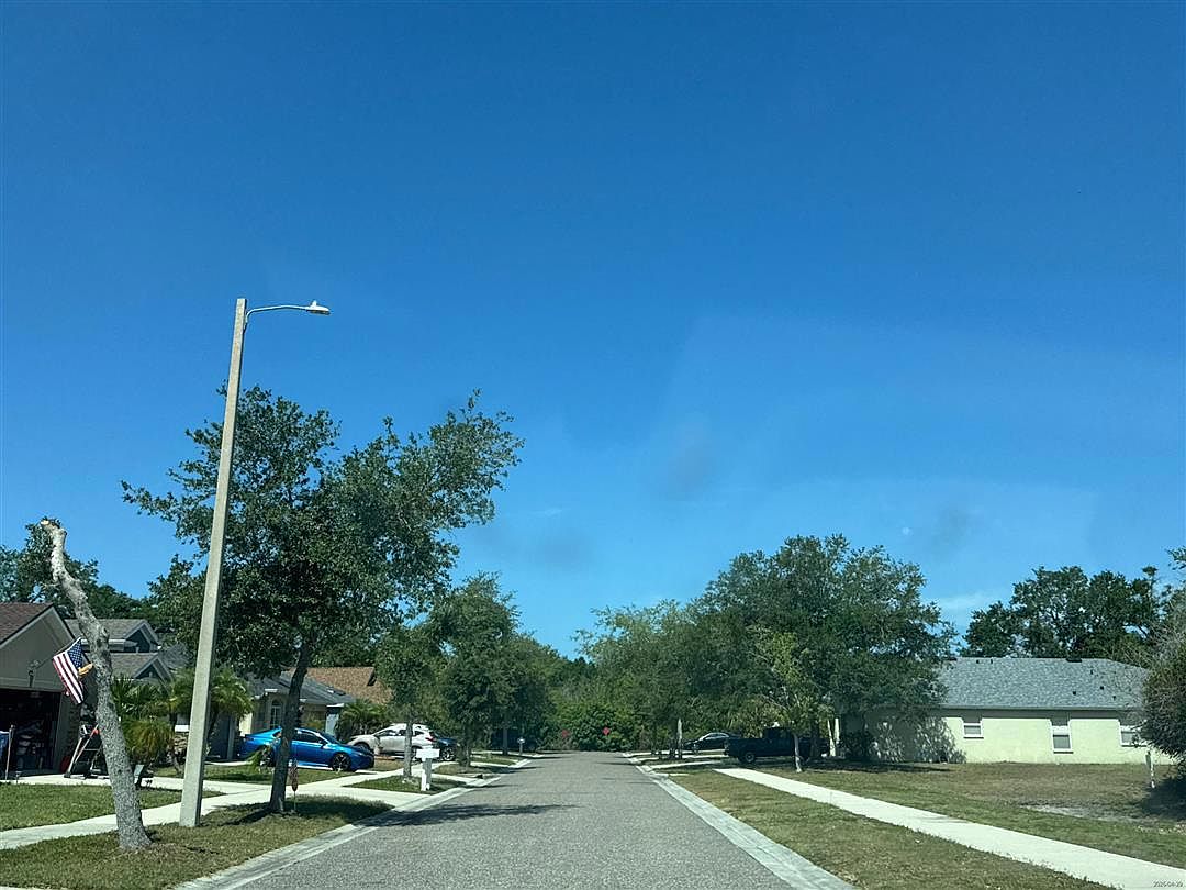 317 Delwood Breck Street,Ruskin,FL,United States preview