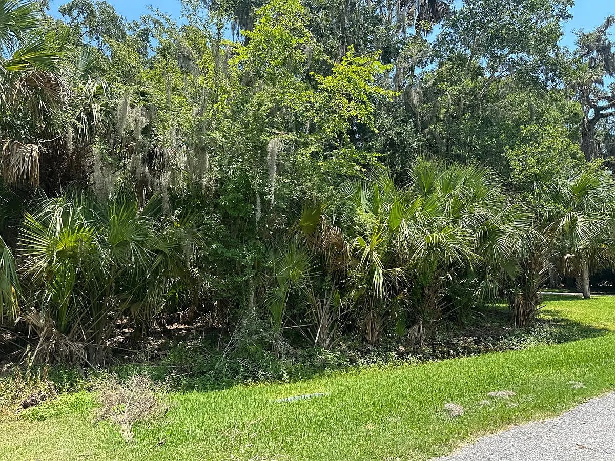 62 Cat Road,Ponte Vedra Beach,FL,United States preview
