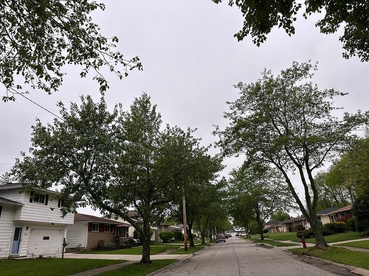 14325 Janice Drive,Maple Heights,OH,United States preview