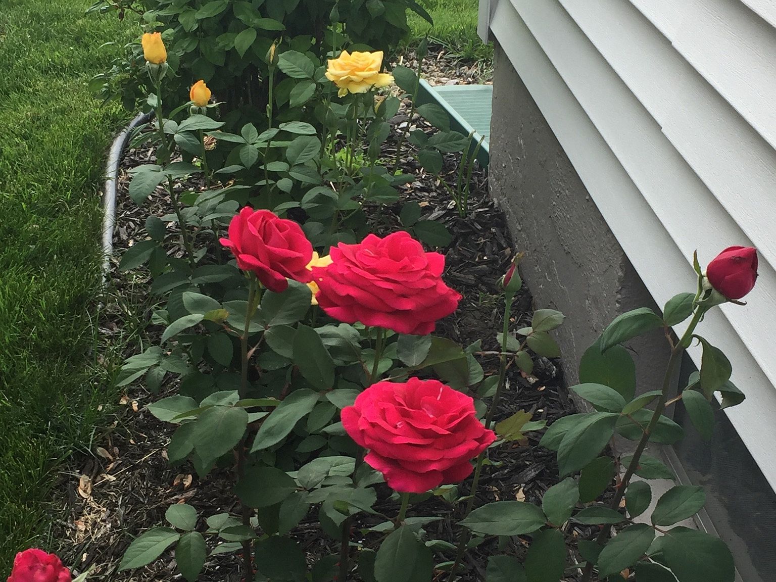 394 Terra Lane,Amherst,OH,USA preview