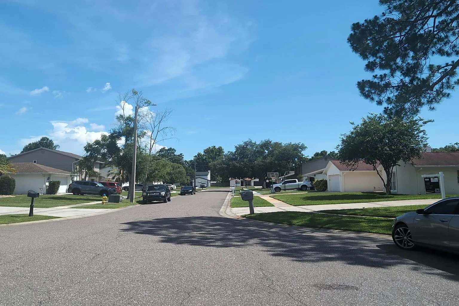 15712 Pinto Place,Tampa,FL,USA preview
