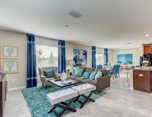 5111 White Chicory Drive,Ruskin,FL,United States preview