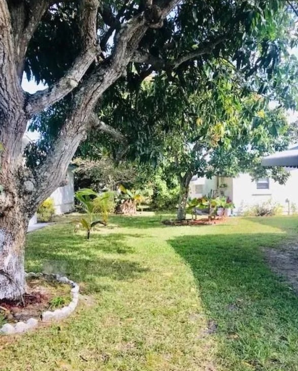 5059 Northwest 42nd Street,Lauderdale Lakes,FL,United States preview