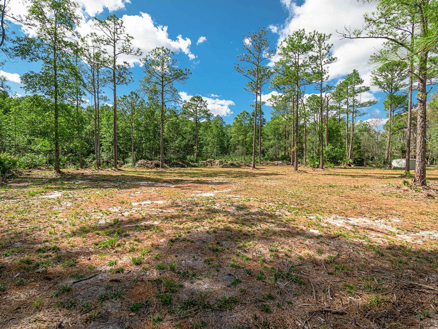 313 4th Street,Satsuma,FL,United States preview