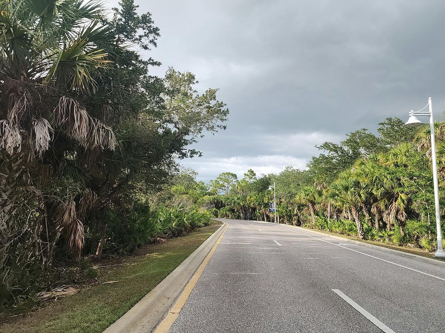 12196 Alachua Lane,Venice,FL,United States preview