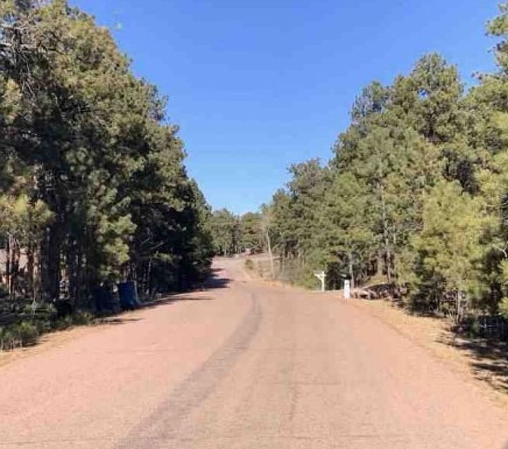 17955 Sierra Way,Monument,CO,United States preview