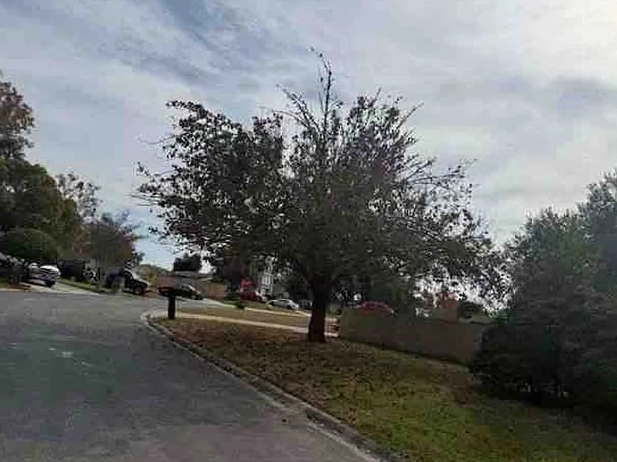 560 Edward Rutledge Street,Orange Park,FL,United States preview